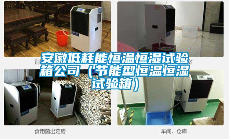 安徽低耗能恒温恒湿试验箱公司(节能型恒温恒湿试验箱)
