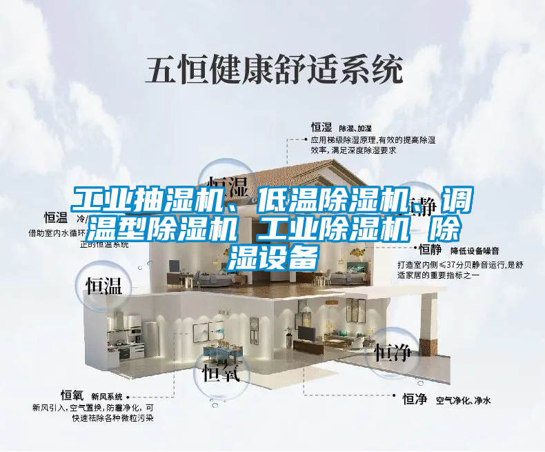 工业抽湿机、低温除湿机、调温型除湿机 工业除湿机 除湿设备