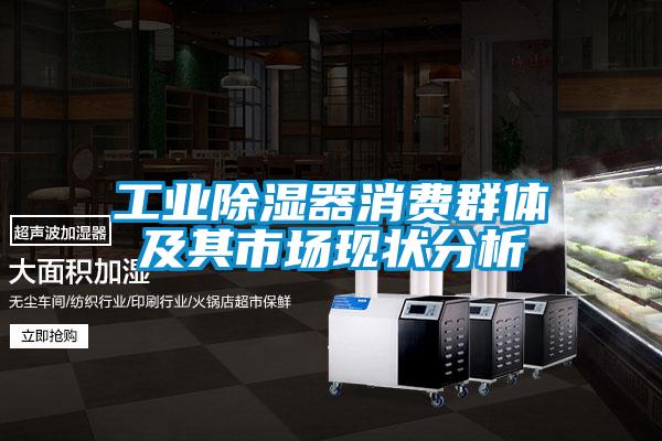 工业除湿器消费群体及其市场现状分析