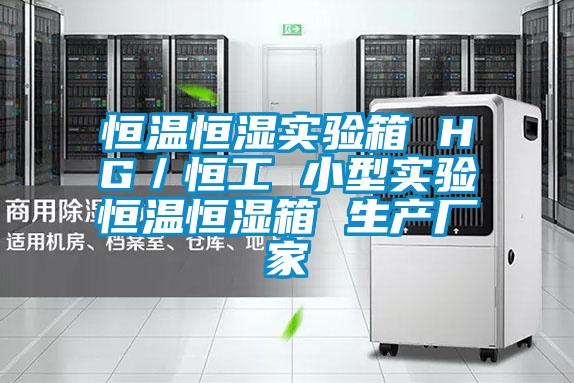 恒温恒湿实验箱 HG／恒工 小型实验恒温恒湿箱 生产厂家