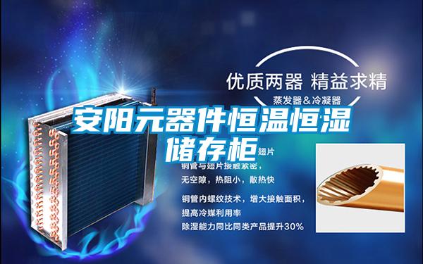 安阳元器件恒温恒湿储存柜