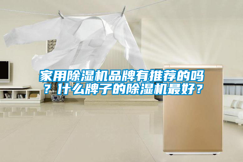 家用除湿机品牌有推荐的吗？什么牌子的除湿机最好？