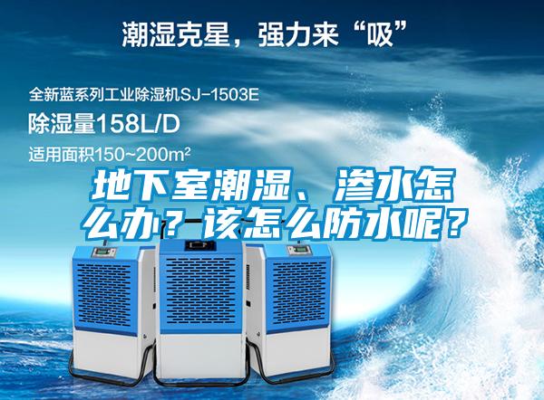 地下室潮湿、渗水怎么办？该怎么防水呢？