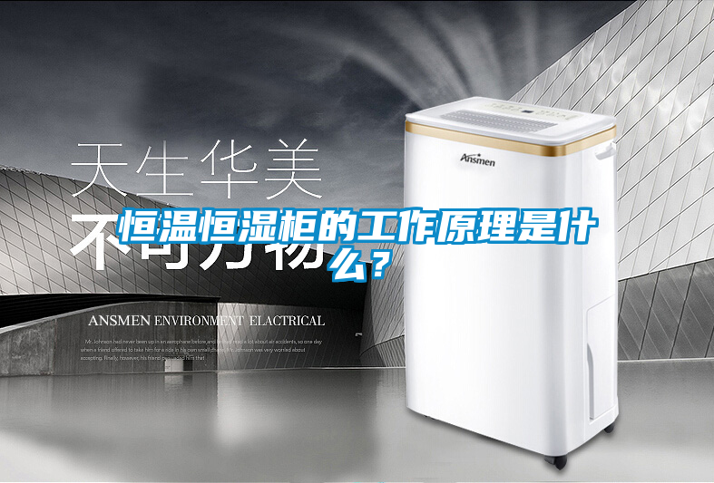 恒温恒湿柜的工作原理是什么？
