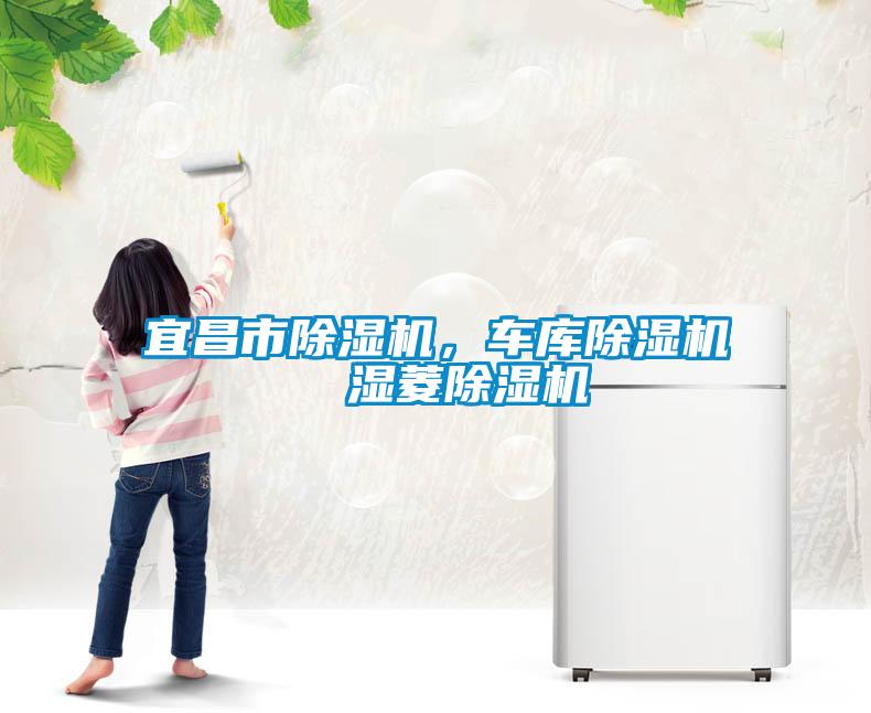宜昌市除湿机，车库除湿机  湿菱除湿机