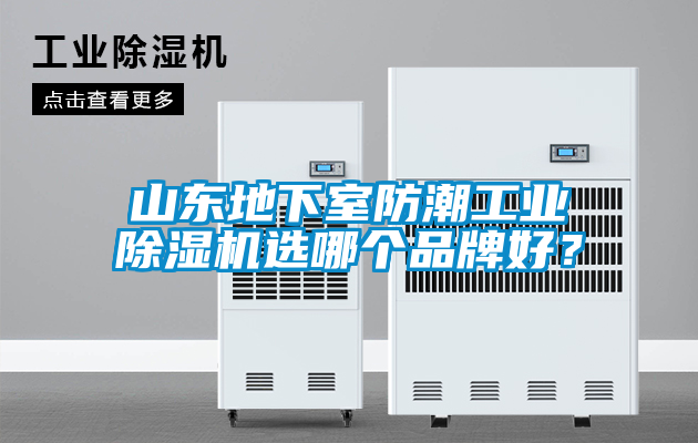 山东地下室防潮工业除湿机选哪个品牌好？