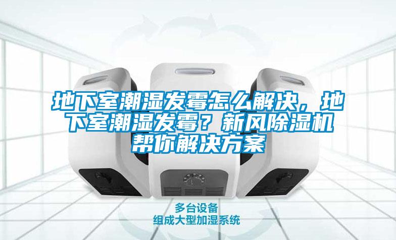 地下室潮湿发霉怎么解决，地下室潮湿发霉？新风除湿机帮你解决方案