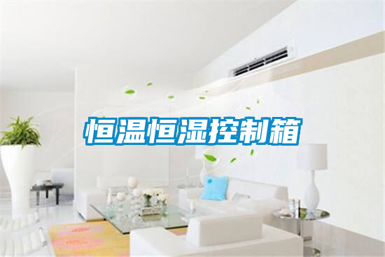 恒温恒湿控制箱