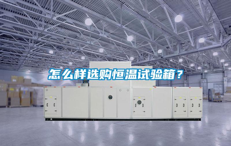 怎么样选购恒温试验箱？