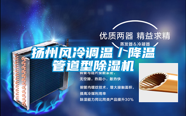 扬州风冷调温／降温管道型除湿机