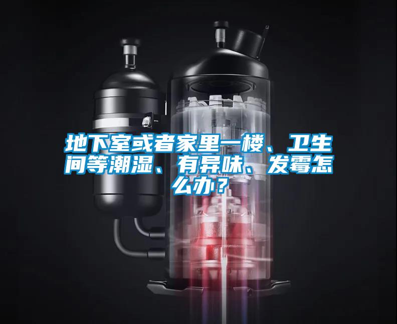 地下室或者家里一楼、卫生间等潮湿、有异味、发霉怎么办？