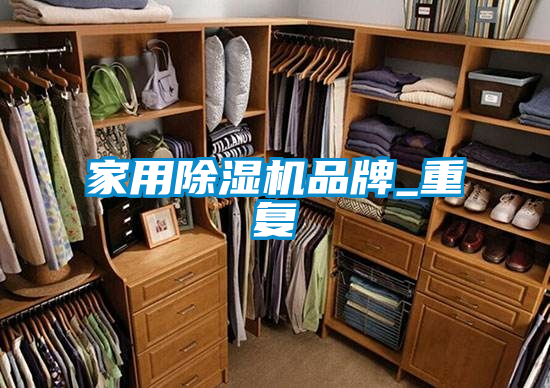 家用除湿机品牌_重复