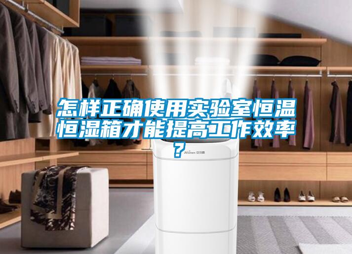 怎样正确使用实验室恒温恒湿箱才能提高工作效率？