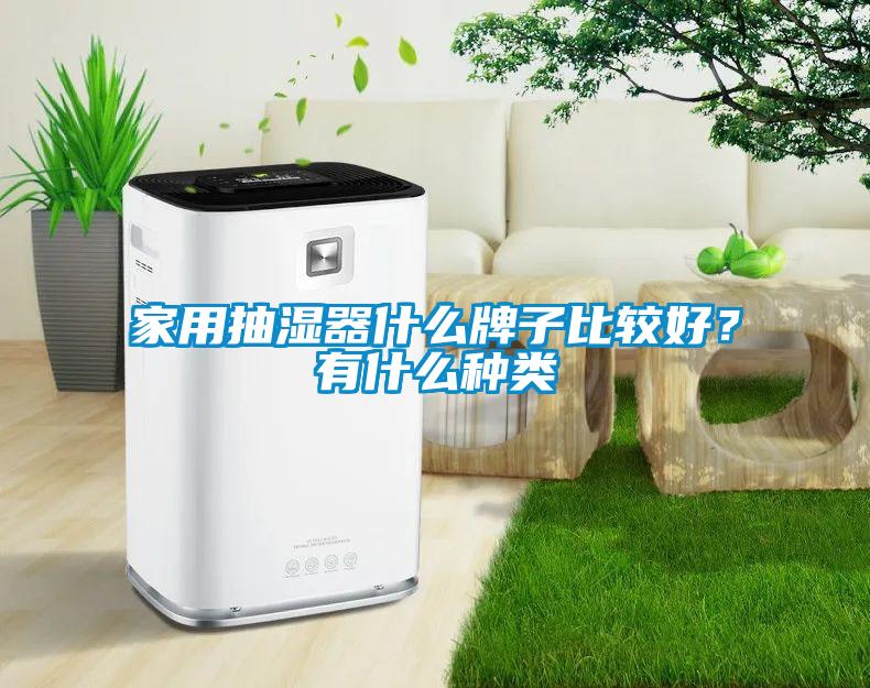 家用抽湿器什么牌子比较好？有什么种类