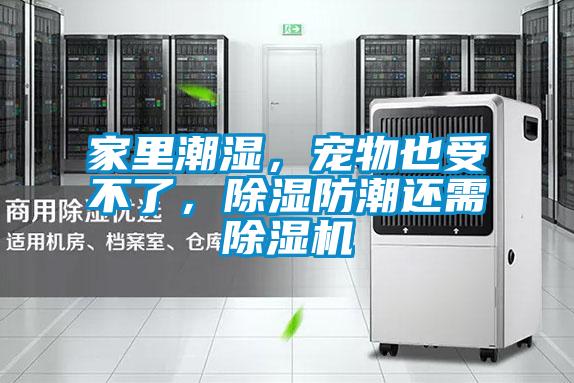 家里潮湿，宠物也受不了，除湿防潮还需除湿机