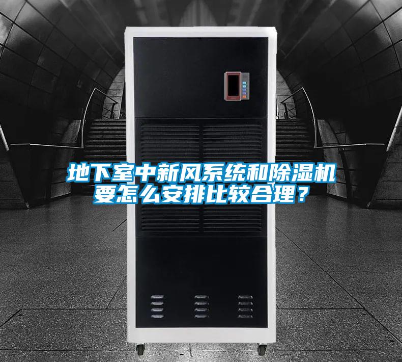 地下室中新风系统和除湿机要怎么安排比较合理？