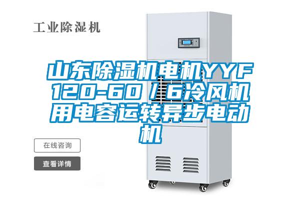 山东除湿机电机YYF120-60/6冷风机用电容运转异步电动机