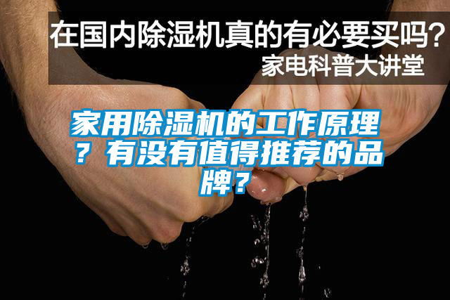 家用除湿机的工作原理？有没有值得推荐的品牌？