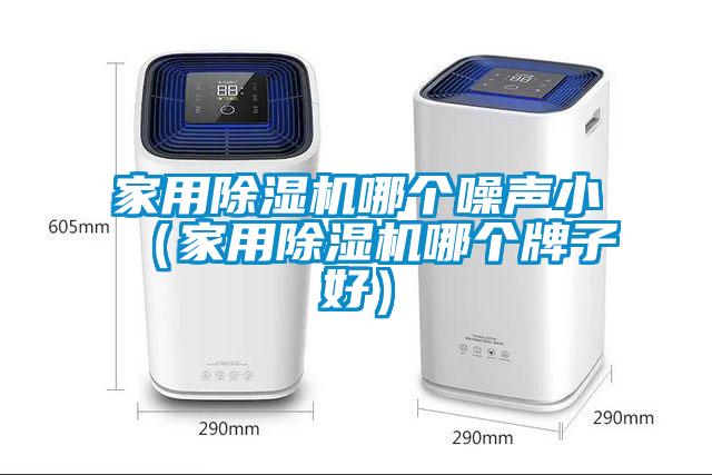 家用除湿机哪个噪声小（家用除湿机哪个牌子好）