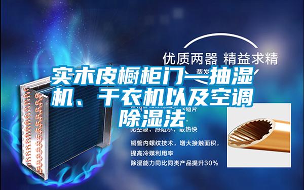 实木皮橱柜门—抽湿机、干衣机以及空调除湿法