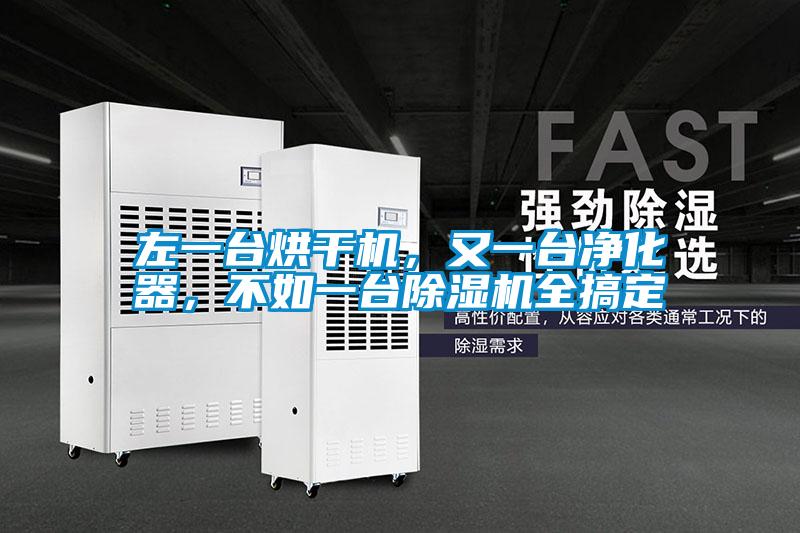 左一台烘干机，又一台净化器，不如一台除湿机全搞定
