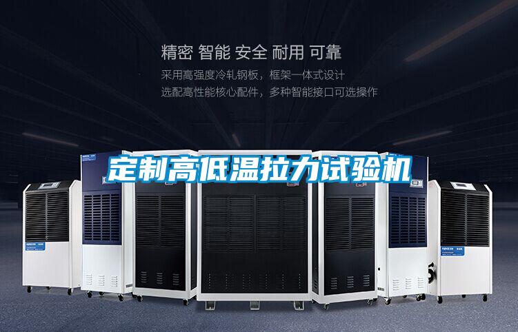定制高低温拉力试验机