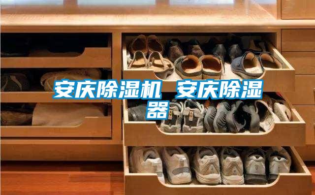 安庆除湿机 安庆除湿器