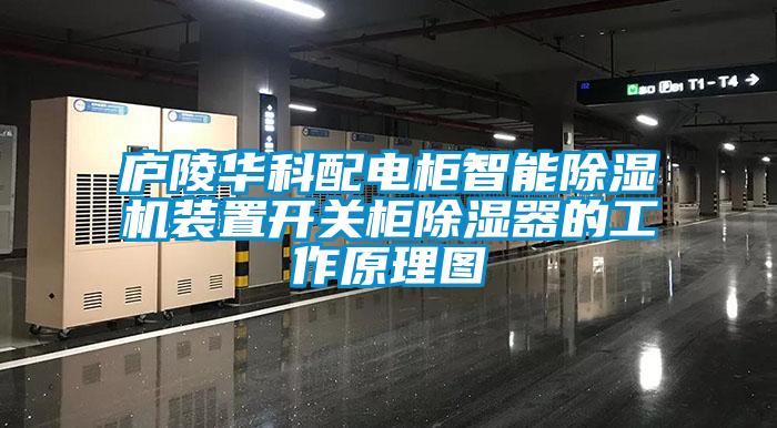 庐陵华科配电柜智能除湿机装置开关柜除湿器的工作原理图