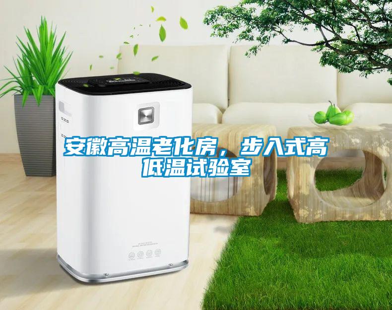 安徽高温老化房，步入式高低温试验室
