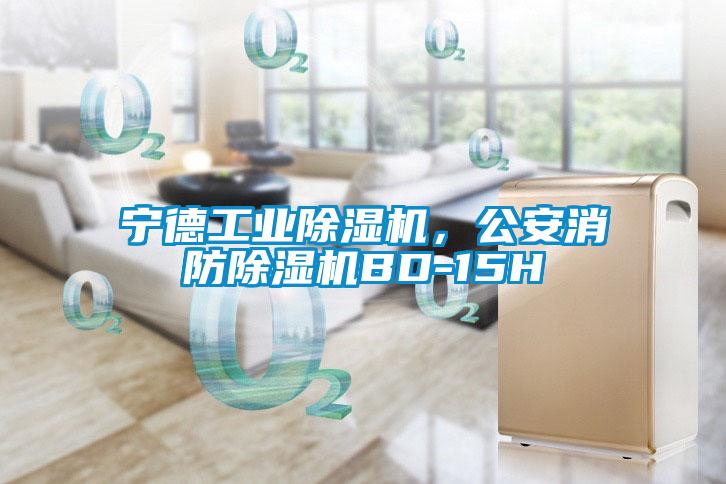 宁德工业除湿机，公安消防除湿机BD-15H
