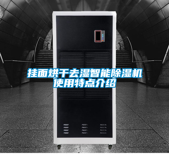 挂面烘干去湿智能除湿机使用特点介绍
