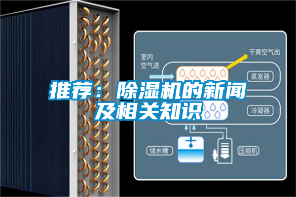 推荐：除湿机的新闻及相关知识