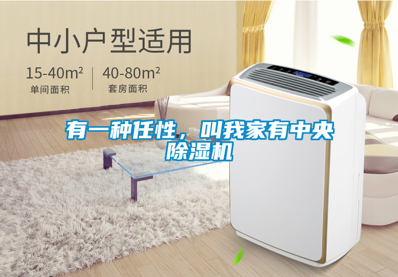 有一种任性，叫我家有中央除湿机