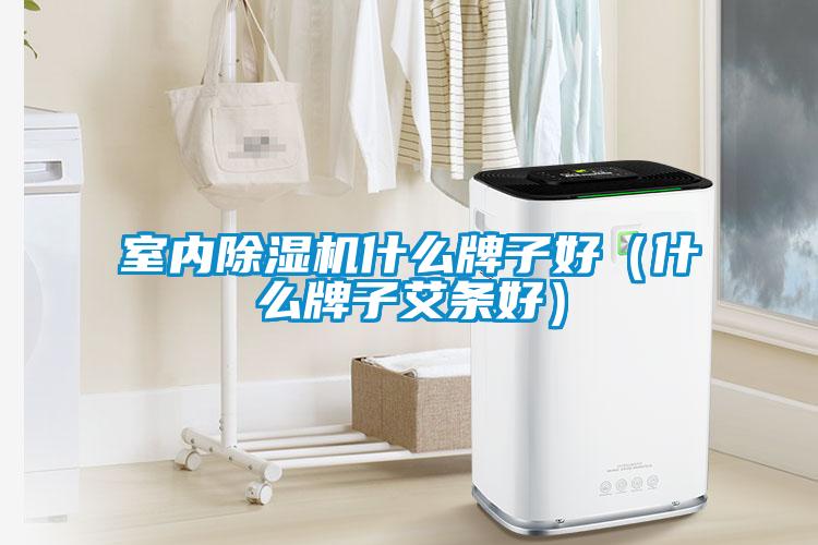 室内除湿机什么牌子好（什么牌子艾条好）