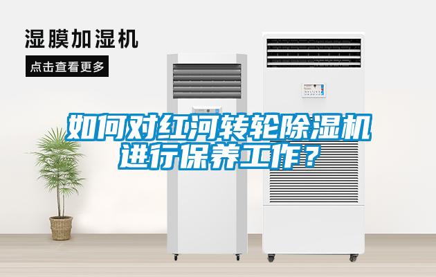 如何对红河转轮除湿机进行保养工作？