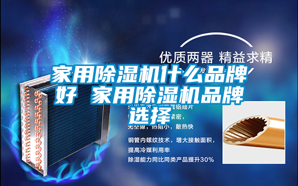 家用除湿机什么品牌好 家用除湿机品牌选择