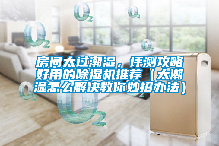 房间太过潮湿，评测攻略好用的除湿机推荐（太潮湿怎么解决教你妙招办法）