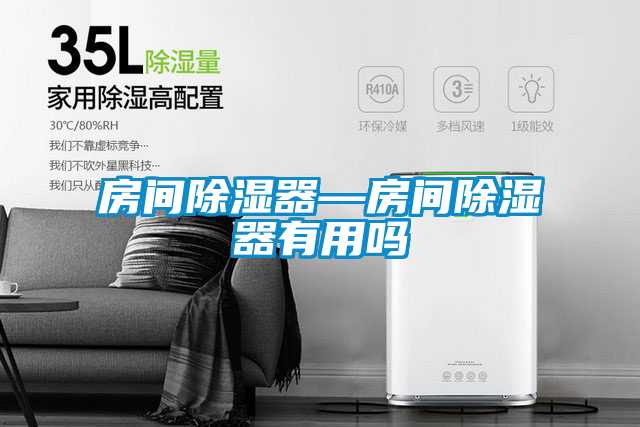 房间除湿器—房间除湿器有用吗