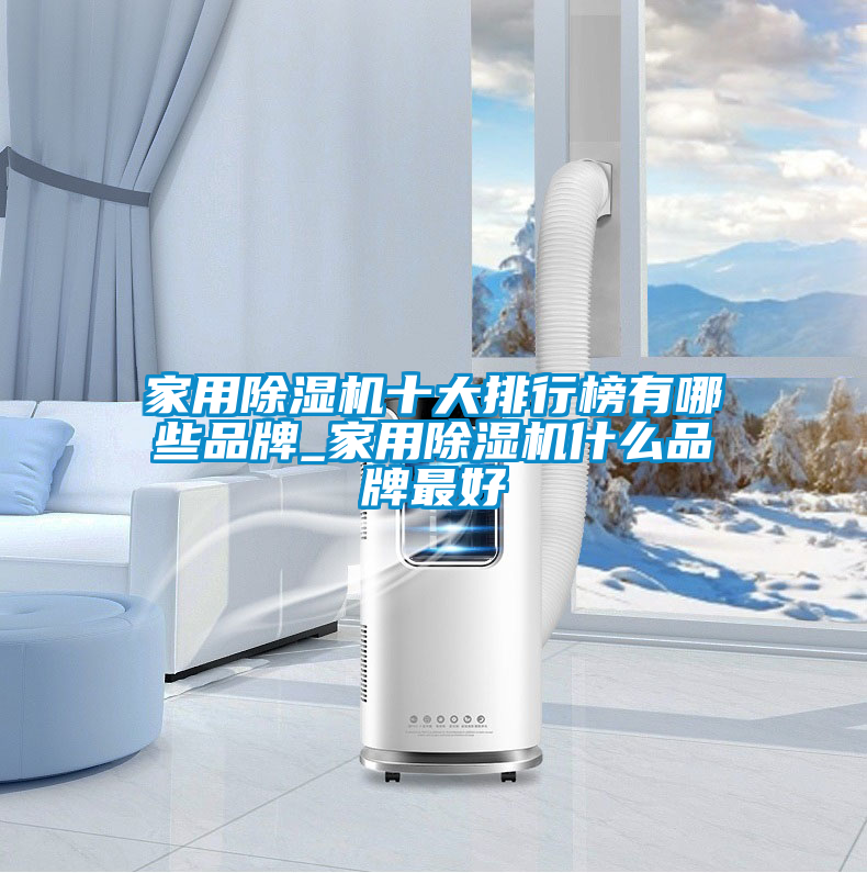 家用除湿机十大排行榜有哪些品牌_家用除湿机什么品牌最好