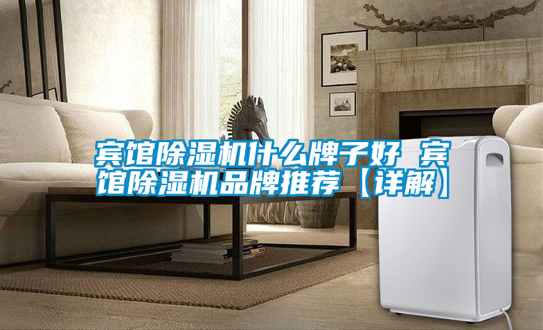 宾馆除湿机什么牌子好 宾馆除湿机品牌推荐【详解】