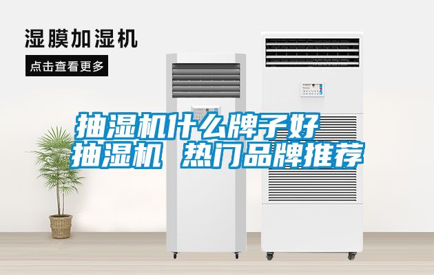 抽湿机什么牌子好  抽湿机 热门品牌推荐