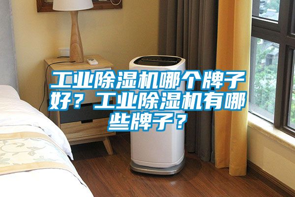 工业除湿机哪个牌子好？工业除湿机有哪些牌子？