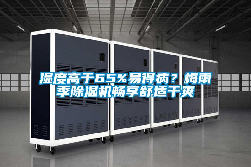湿度高于65%易得??？梅雨季除湿机畅享舒适干爽