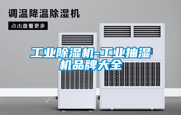 工业除湿机-工业抽湿机品牌大全