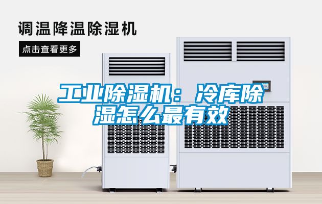 工业除湿机：冷库除湿怎么最有效
