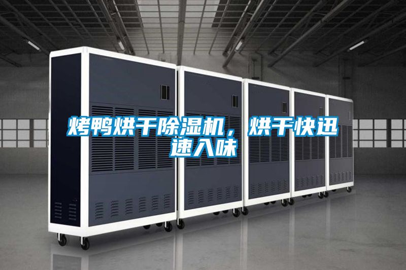 烤鸭烘干除湿机，烘干快迅速入味
