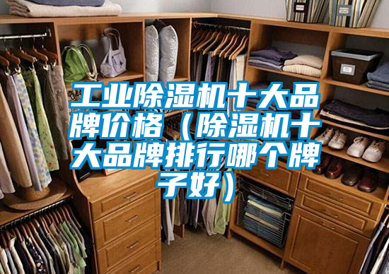 工业除湿机十大品牌价格(除湿机十大品牌排行哪个牌子好)