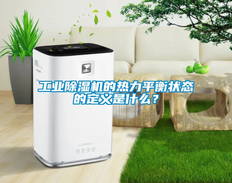 工业除湿机的热力平衡状态的定义是什么？