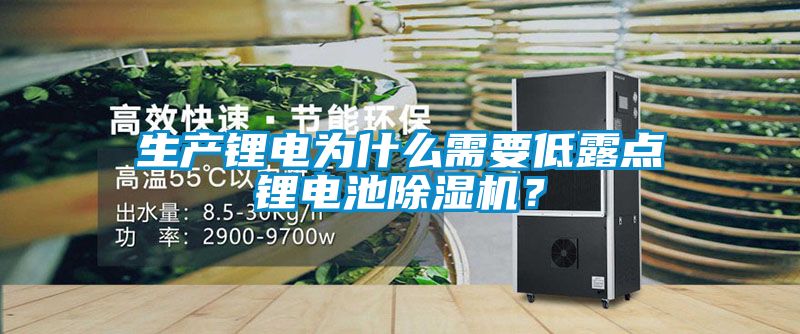 生产锂电为什么需要低露点锂电池除湿机？