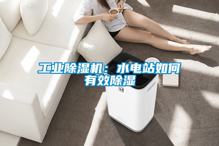 工业除湿机:水电站如何有效除湿